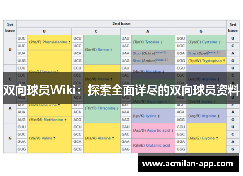 双向球员Wiki：探索全面详尽的双向球员资料